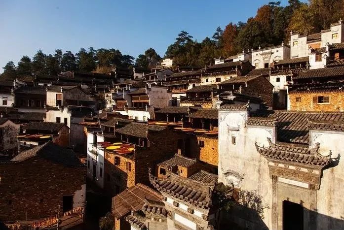 1666234821272692.jpg 11.jpg