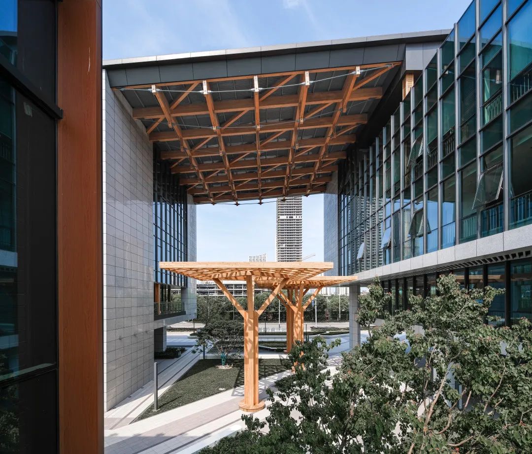 1667455271167049.jpg 11.jpg