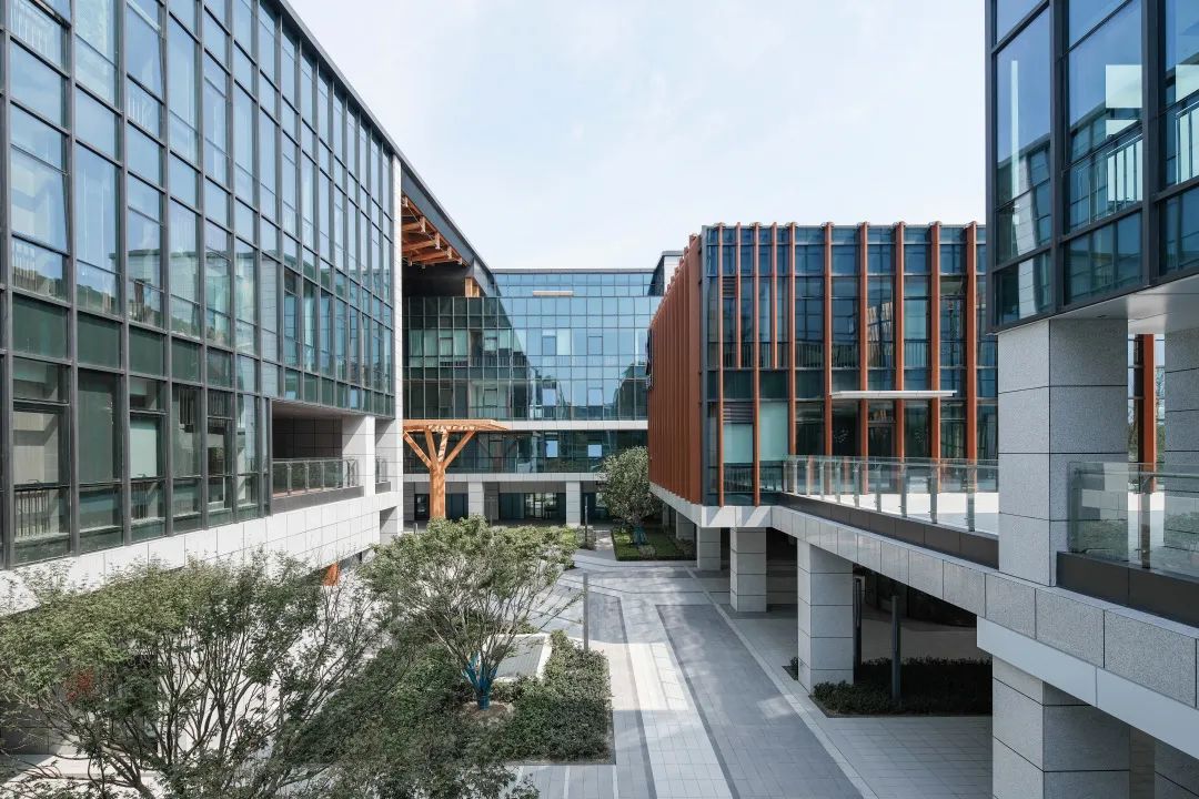 1667455471679299.jpg 15.jpg