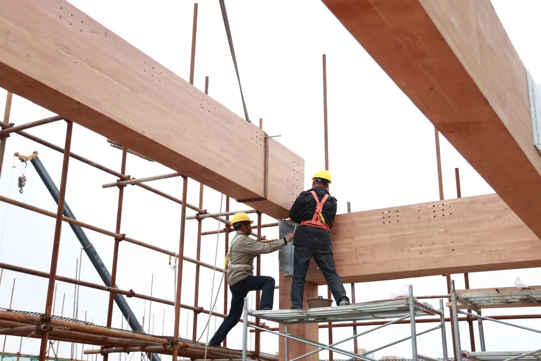 1667455600838861.jpg 20.jpg