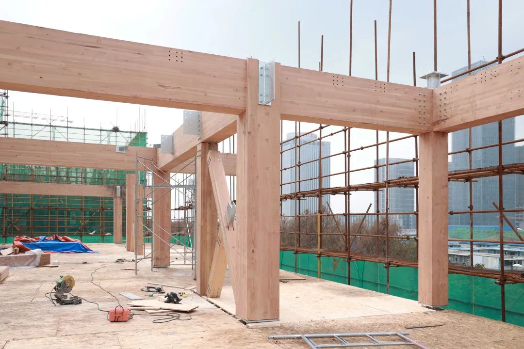 1667455618446153.jpg 21.jpg