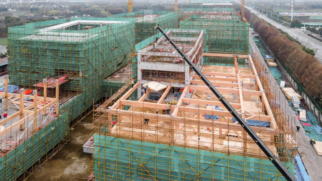 1667455697841486.jpg 24.jpg