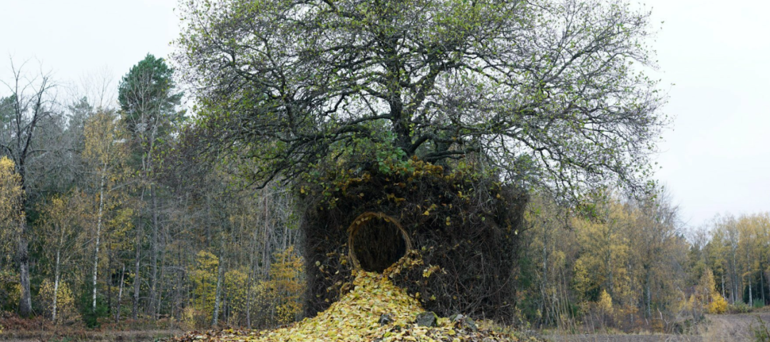 1668737154888778.png 6.png