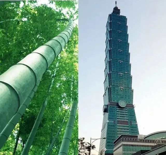 1678348747393181.jpg 5.jpg