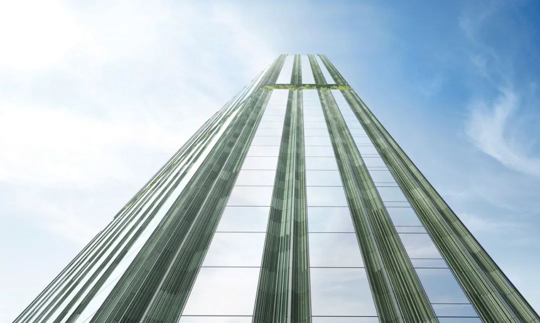 1678349157966579.jpg 27.jpg