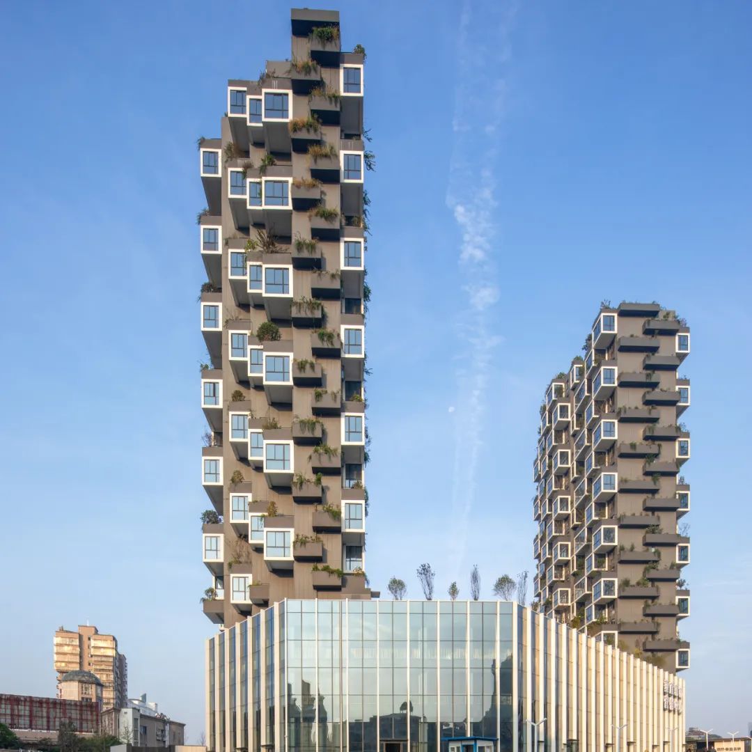 1689230306138321.jpg 2.jpg